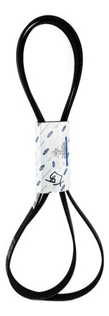 Correa Alternador Ford Transit 2.2 Sin Aire Acond. 2014-2019