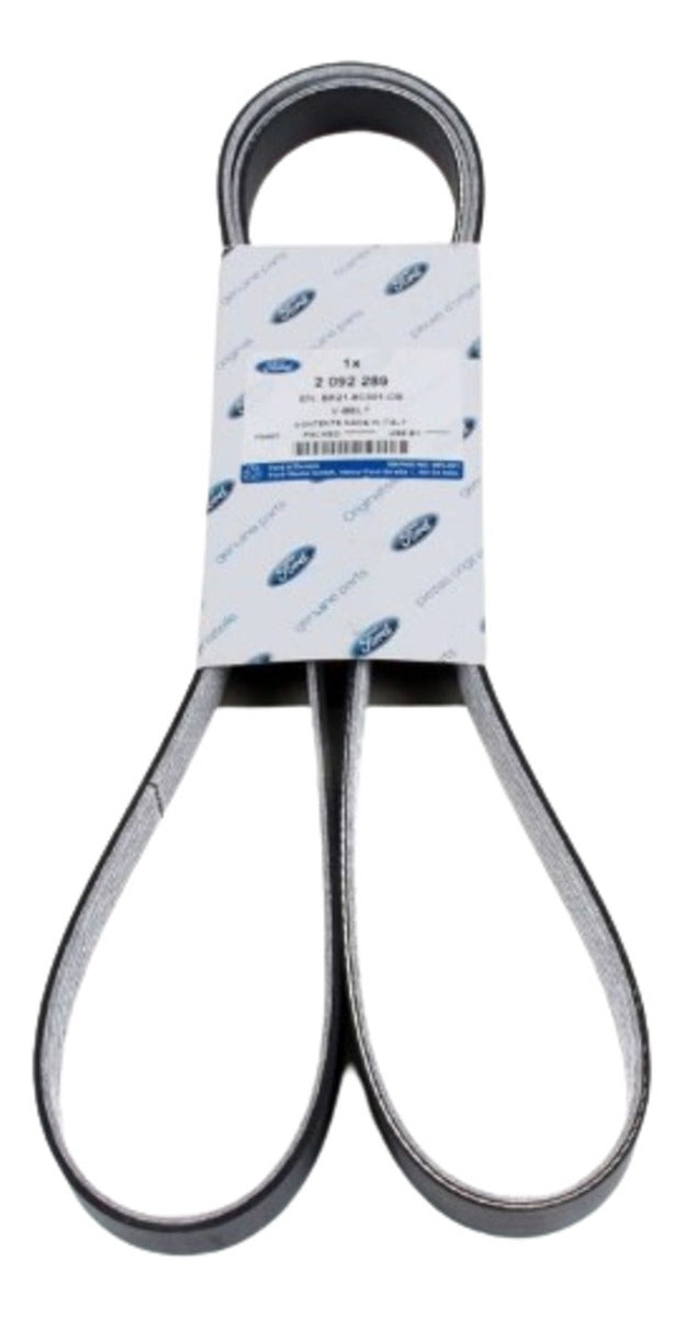 Correa Distribución Original Ford Transit 310s  (2012- )