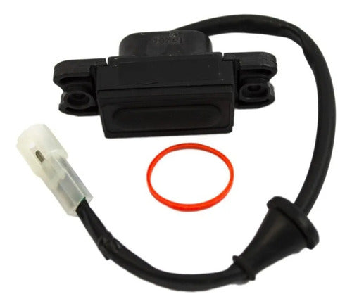 Switch Apertura Portalon Mahindra Xuv500 2012