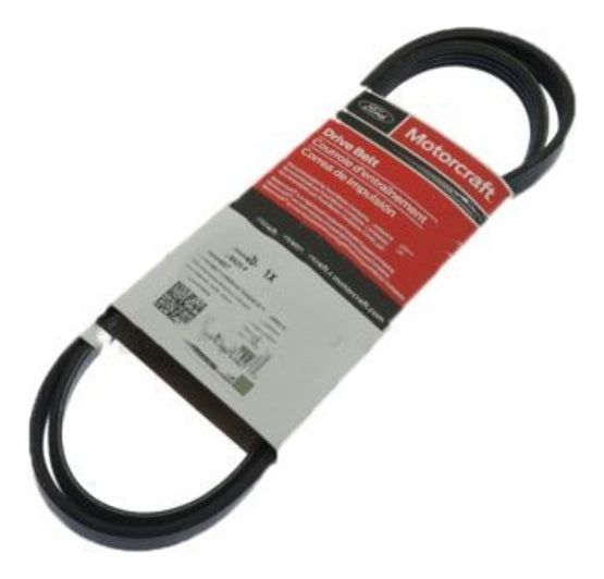 Correa Accesorios Ford F-150 5.0 2015-2020