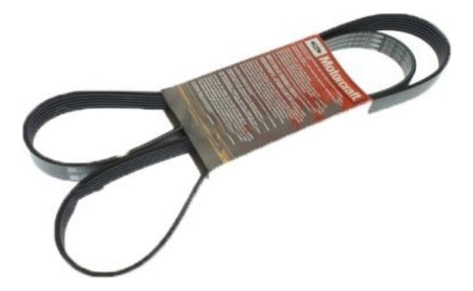 Correa 2 Accesorios Ford F-150 5.0 2015-2020